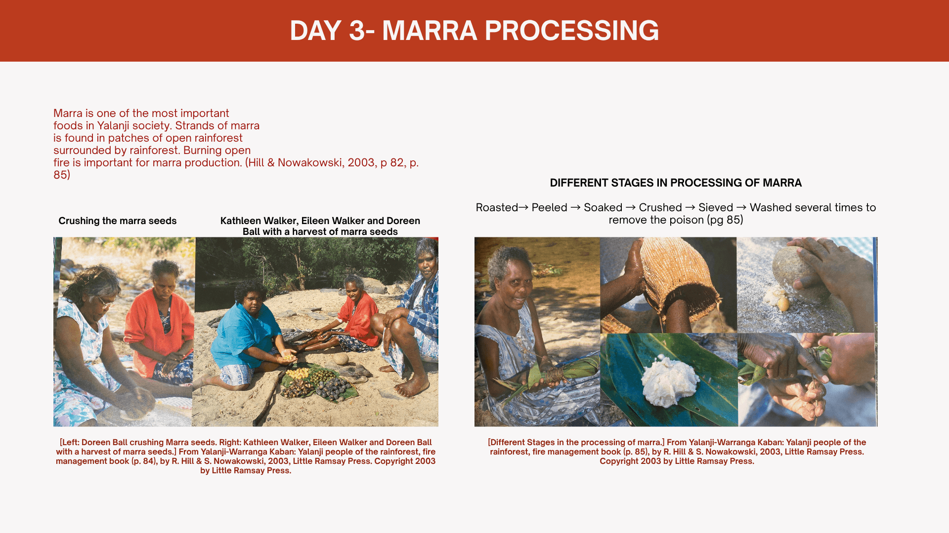 Day 3 activities